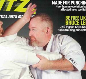 Damien Martin Martial Arts Websites