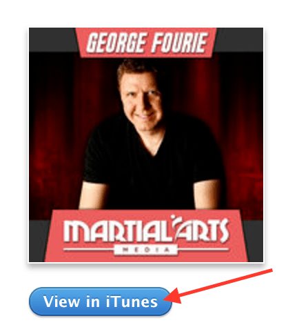 Martial Arts Media Business Podcast